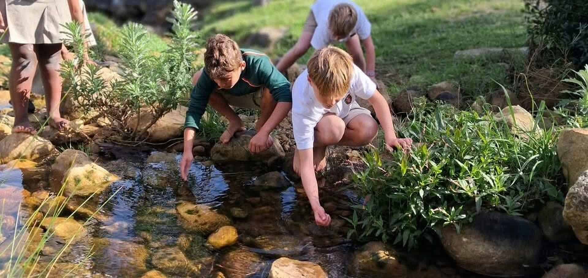 Learners exploring a stream in the school garden
