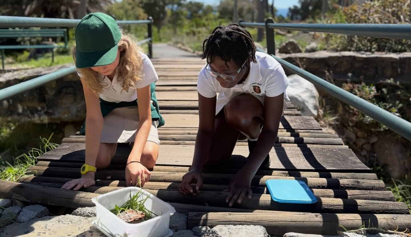 Two learners examining plants on a wooden boardwalk during an outdoor lesson
